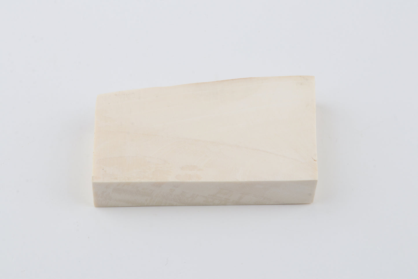 White mammoth ivory segment