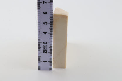 White mammoth ivory segment