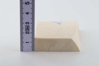 White mammoth ivory segment