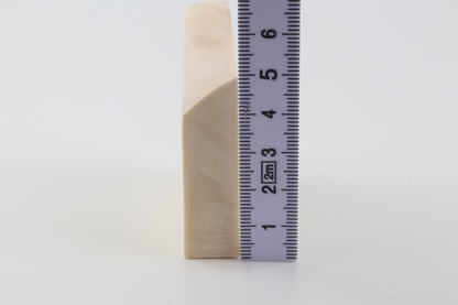 White mammoth ivory segment