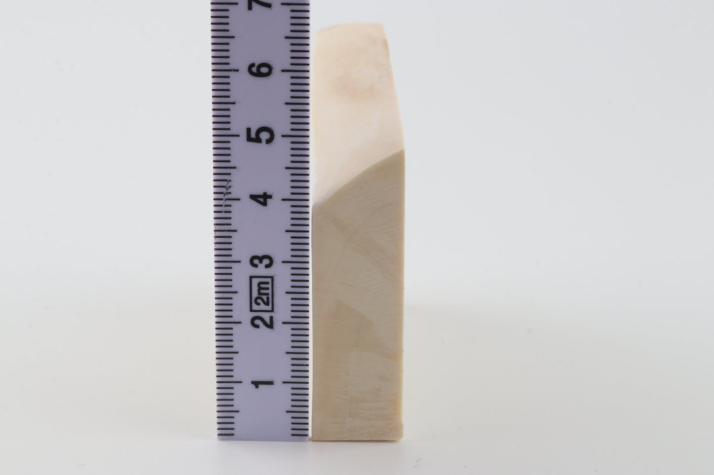 White mammoth ivory segment