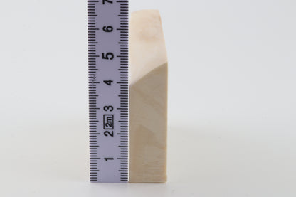 White mammoth ivory segment