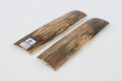 Natural mammoth bark scales