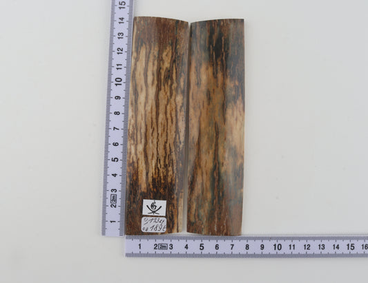 Natural mammoth bark scales