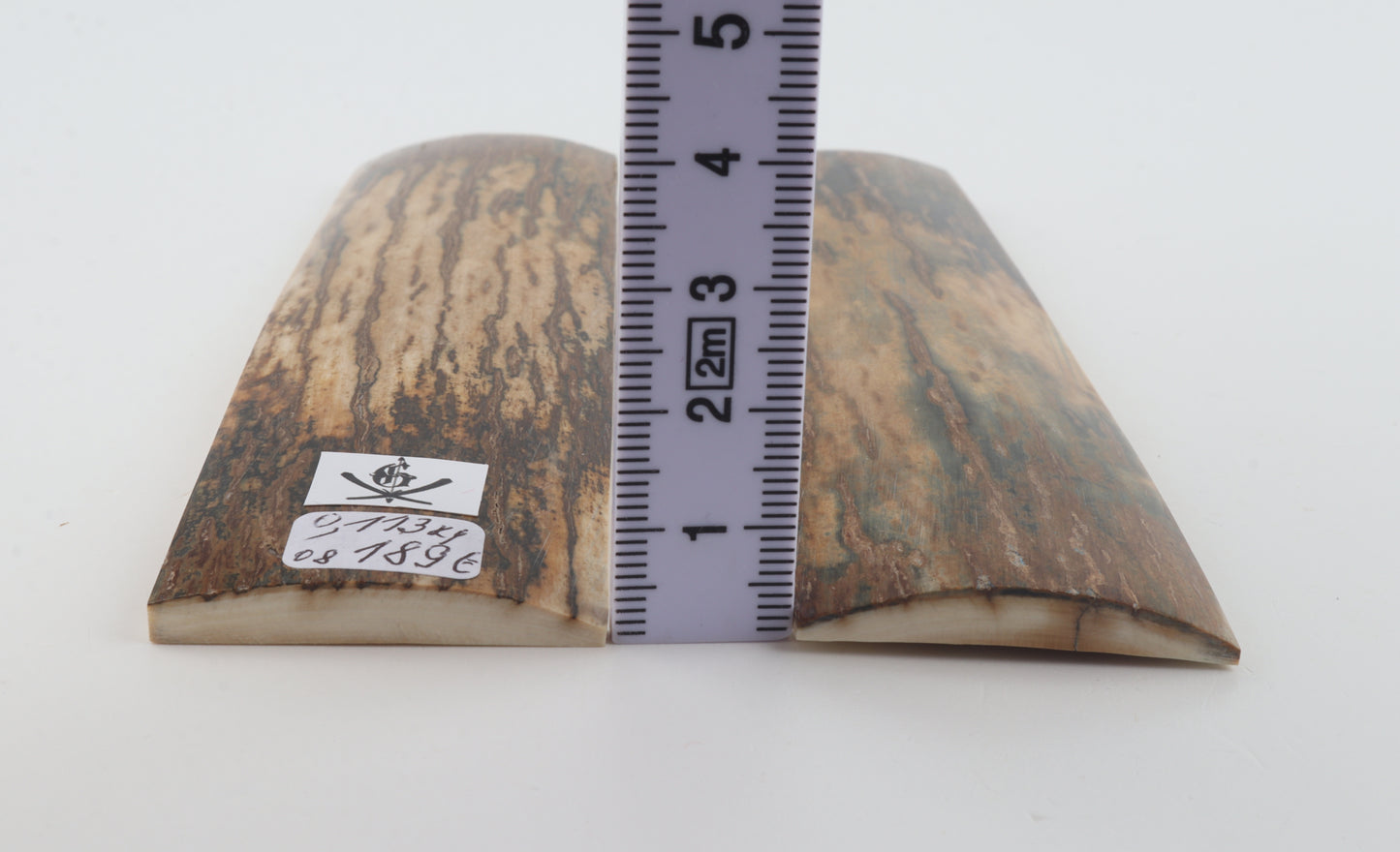 Natural mammoth bark scales