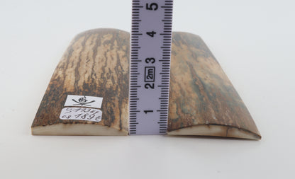 Natural mammoth bark scales