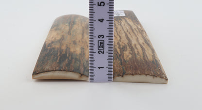 Natural mammoth bark scales