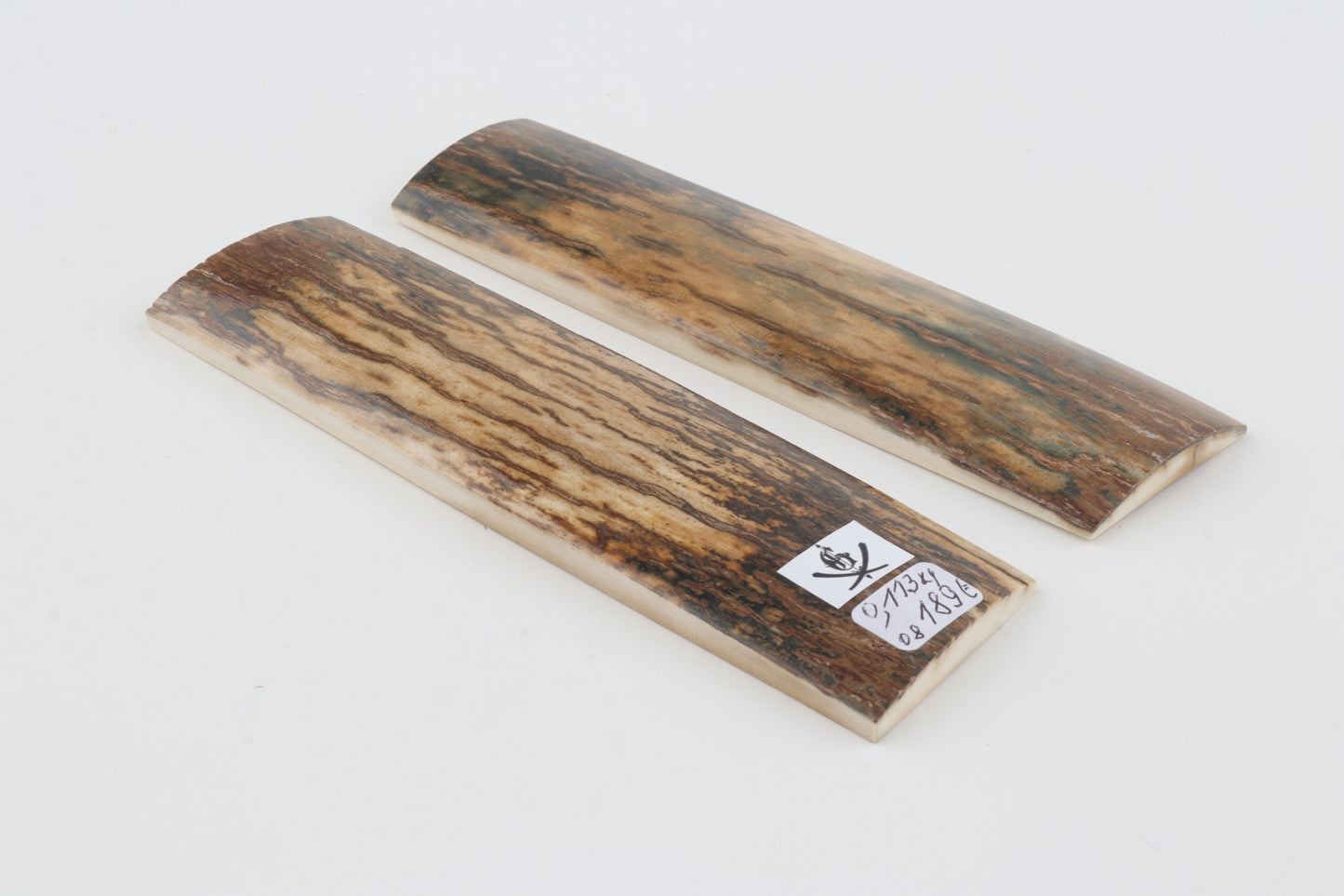 Natural mammoth bark scales