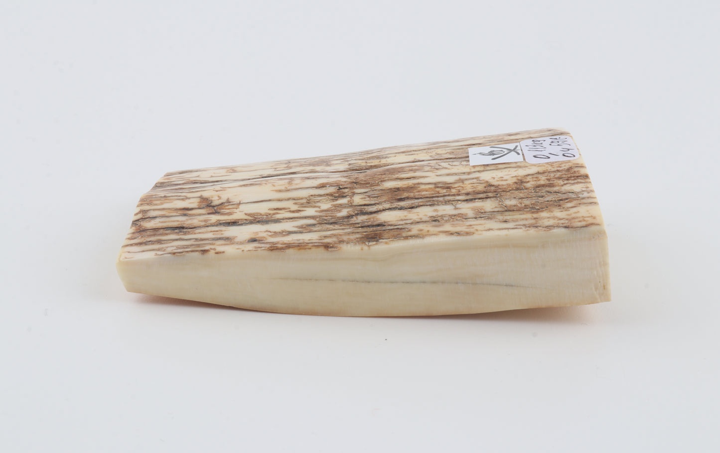 Natural mammoth ivory piece