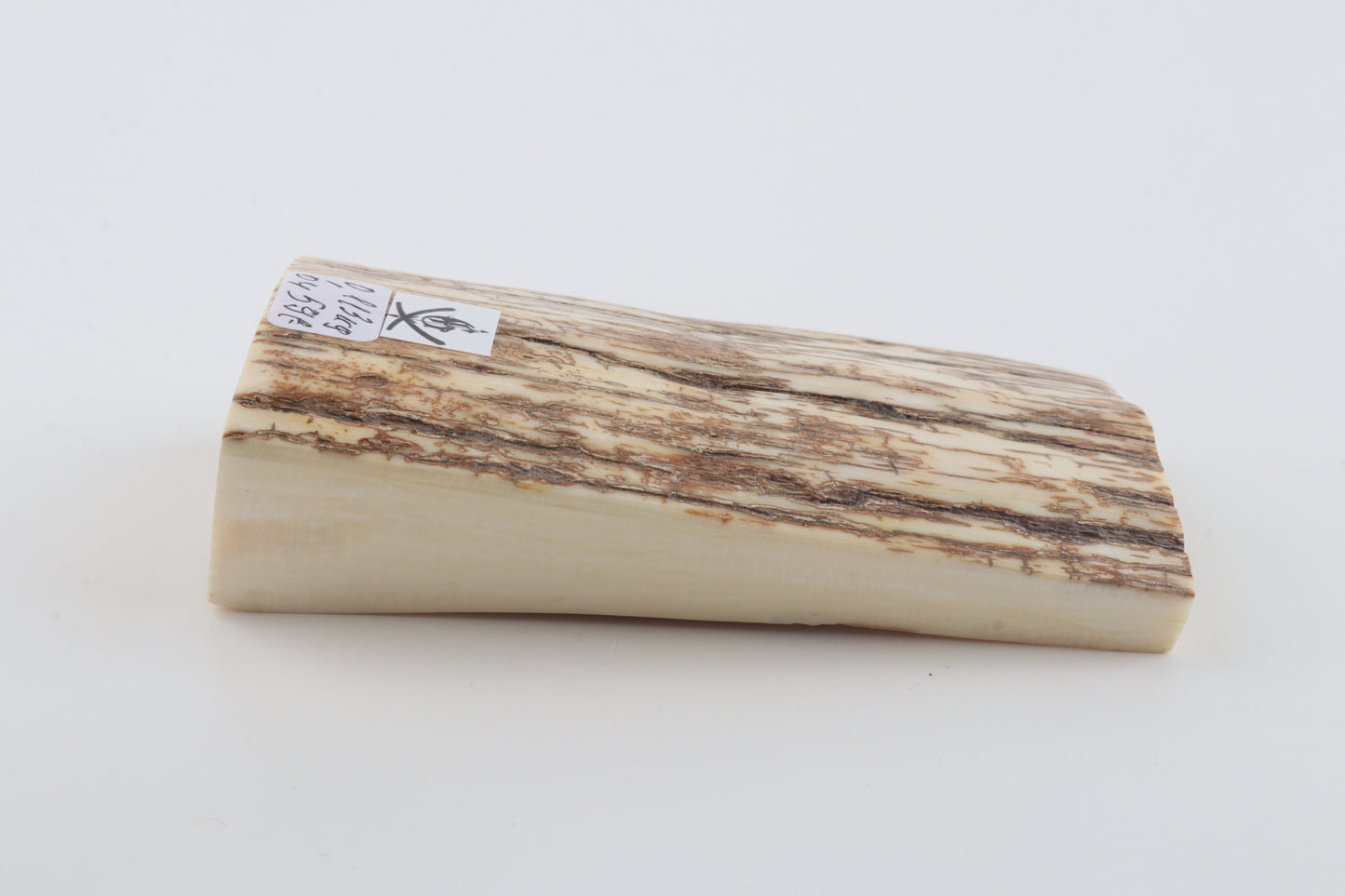 Natural mammoth ivory piece