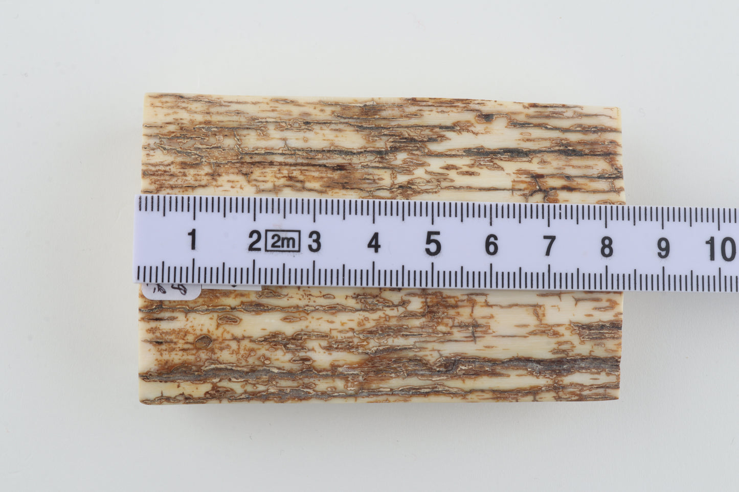 Natural mammoth ivory piece