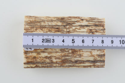 Natural mammoth ivory piece
