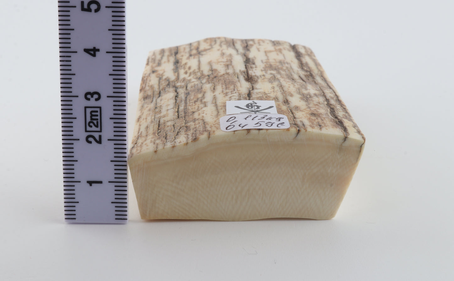 Natural mammoth ivory piece