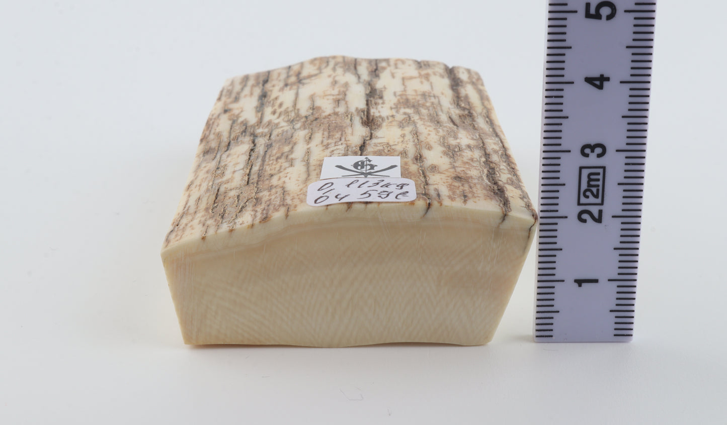 Natural mammoth ivory piece