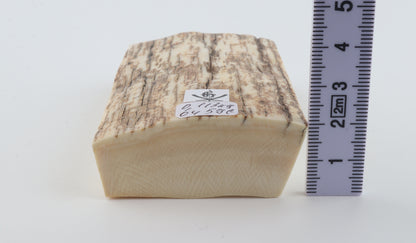 Natural mammoth ivory piece