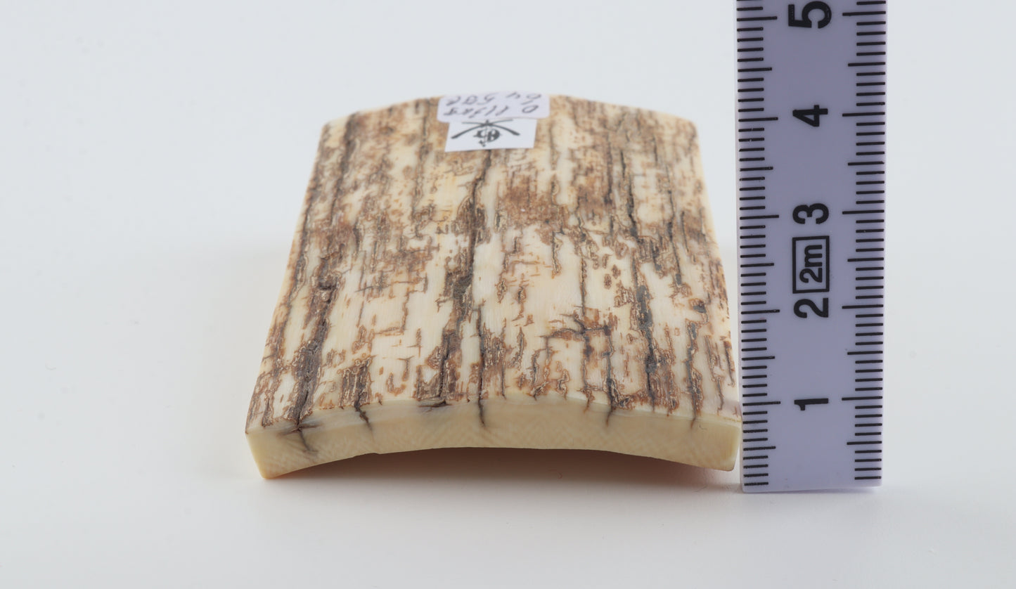 Natural mammoth ivory piece