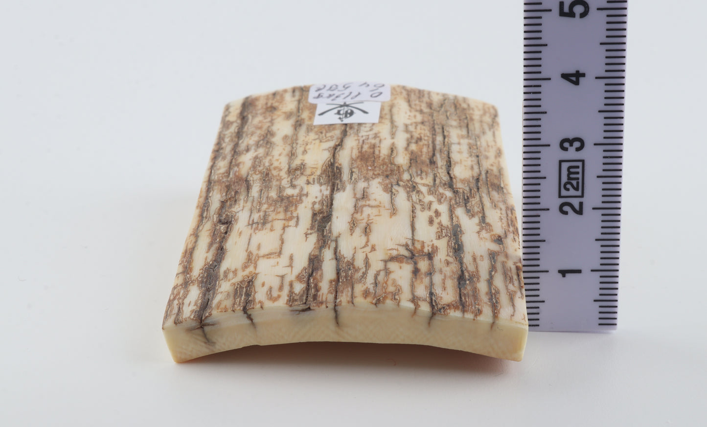 Natural mammoth ivory piece