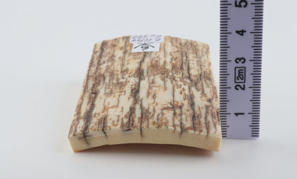 Natural mammoth ivory piece