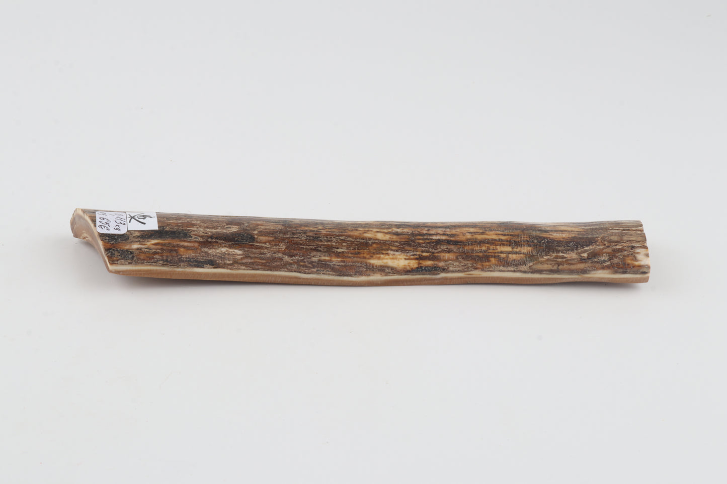 Brown-orange mammoth bark
