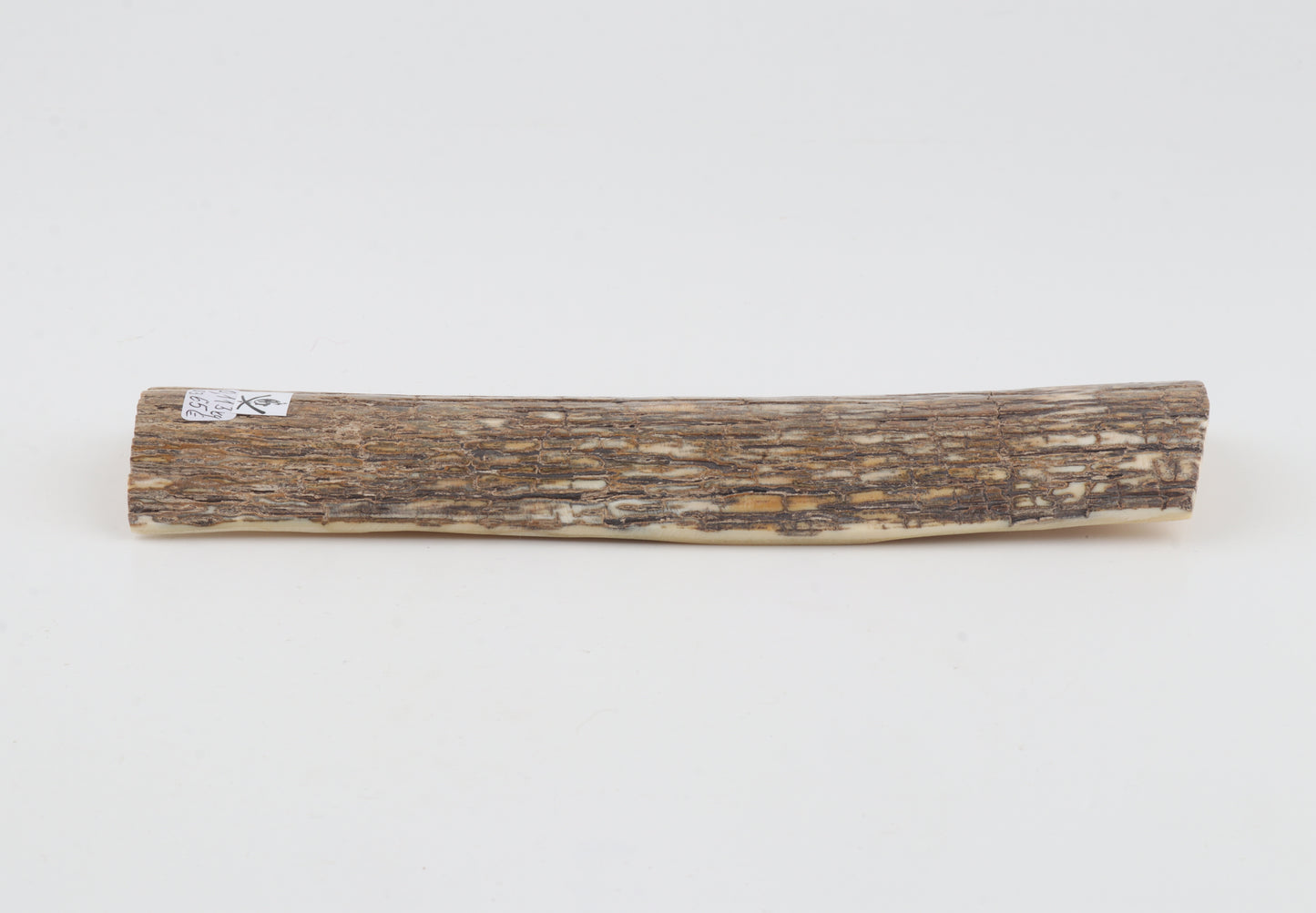 Beige mammoth bark