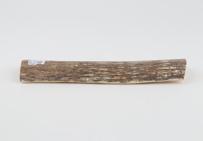 Beige mammoth bark