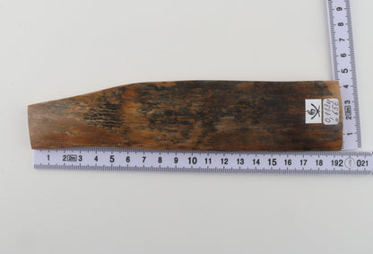 Brown mammoth bark