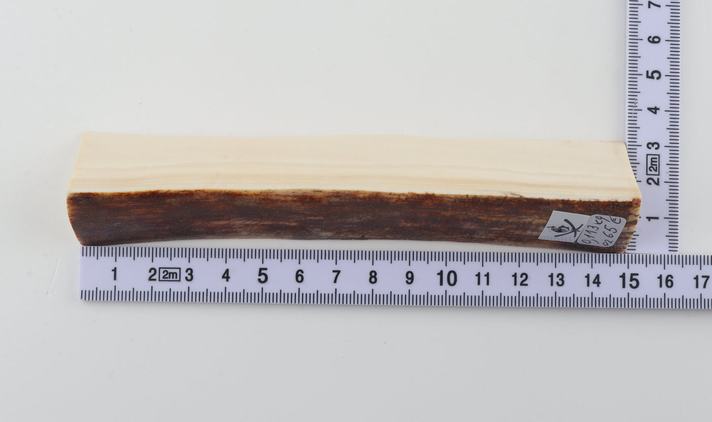 Natural mammoth ivory piece