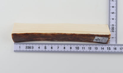 Natural mammoth ivory piece