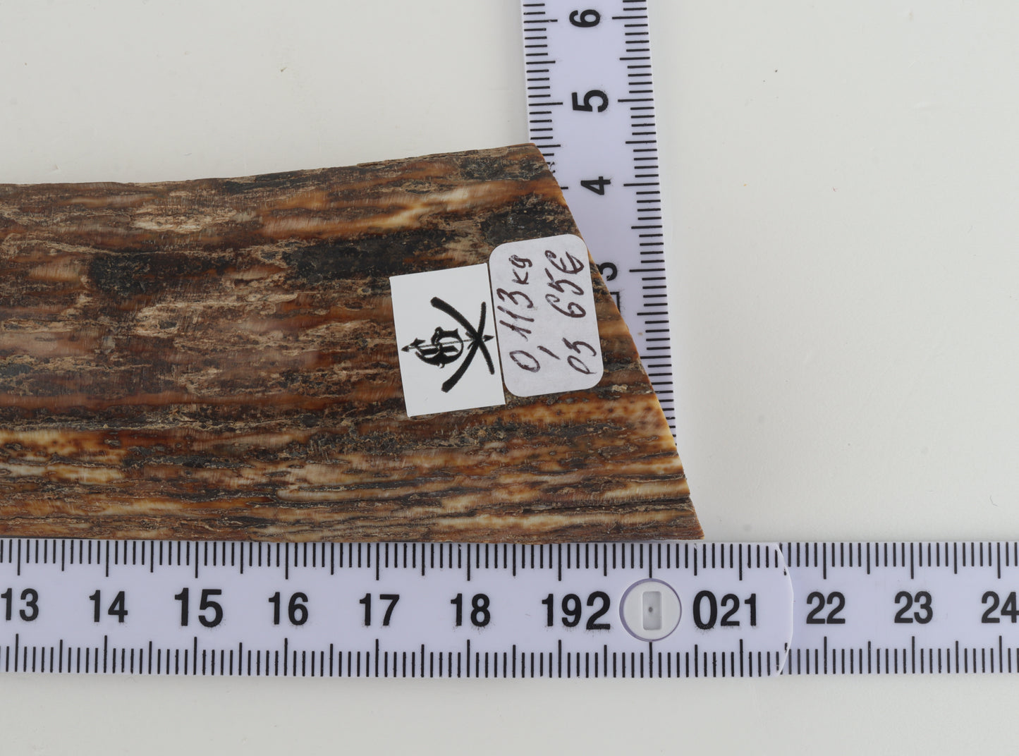 Brown-orange mammoth bark