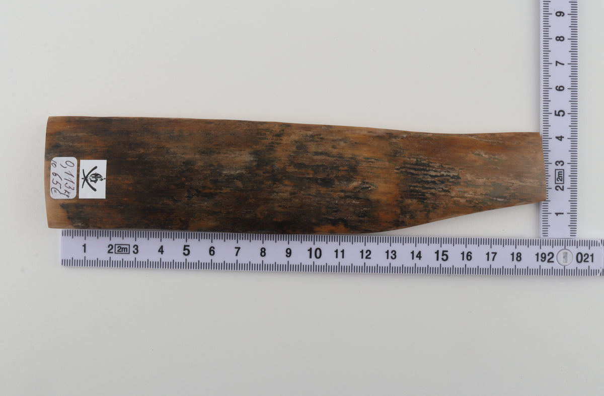 Brown mammoth bark