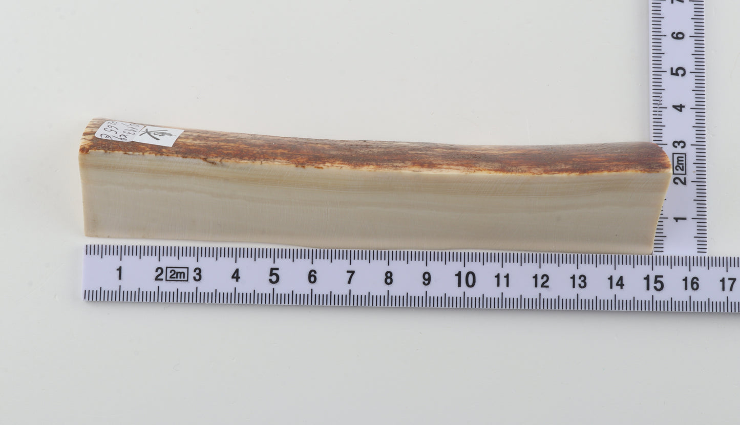 Natural mammoth ivory piece