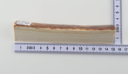 Natural mammoth ivory piece