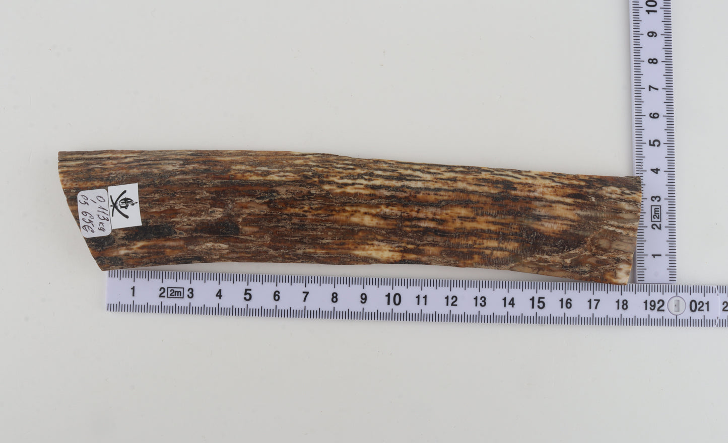 Brown-orange mammoth bark
