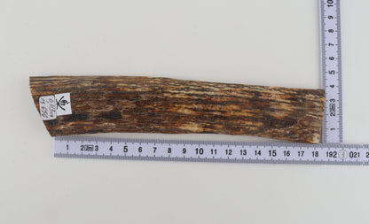Brown-orange mammoth bark