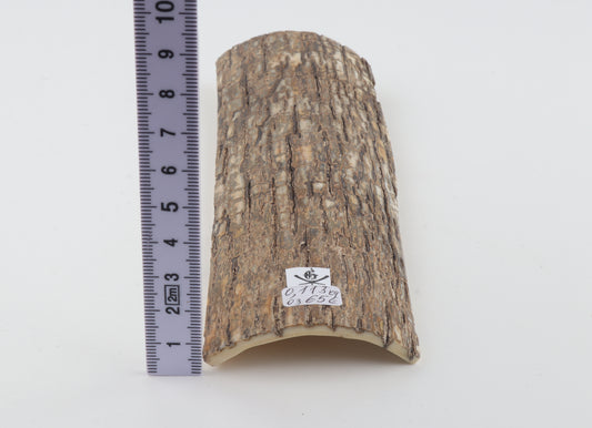 Beige mammoth bark