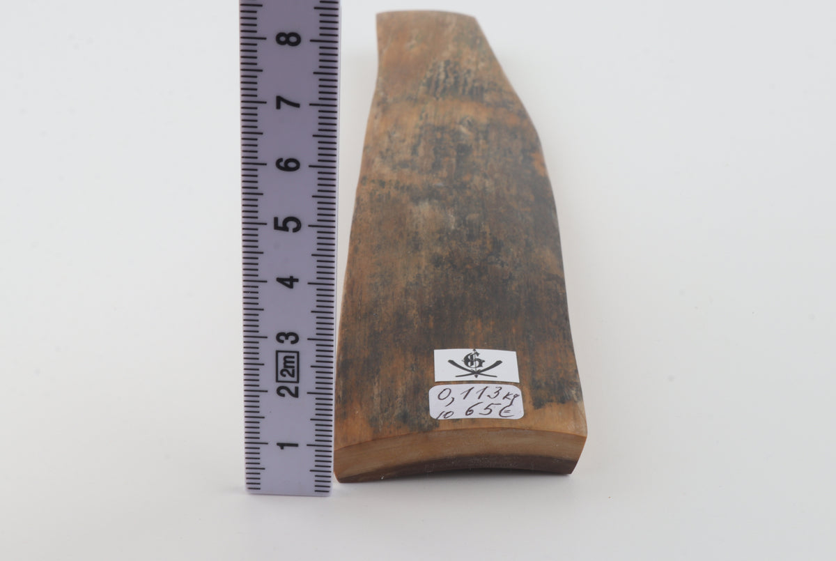 Brown mammoth bark