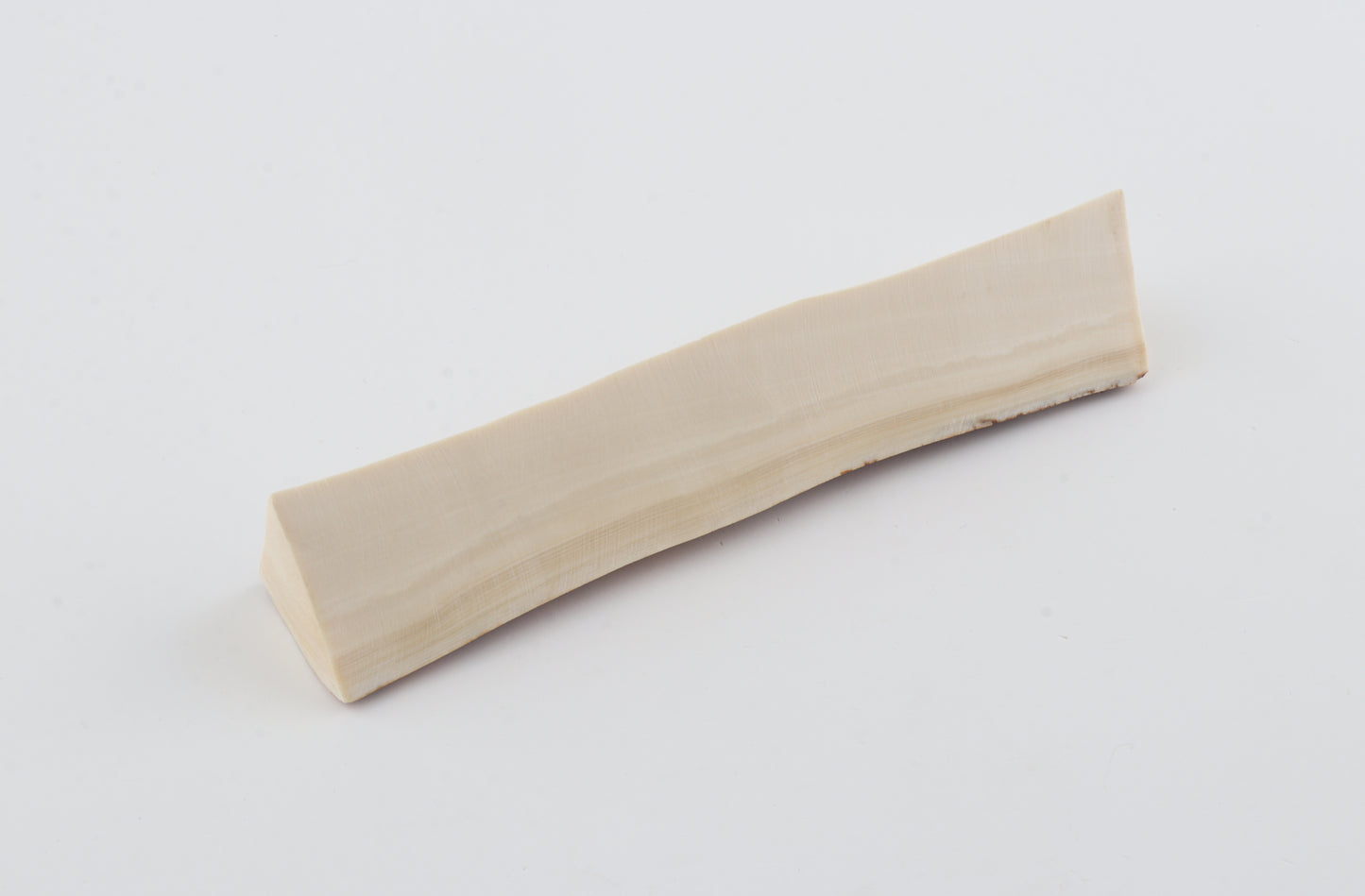 Natural mammoth ivory piece