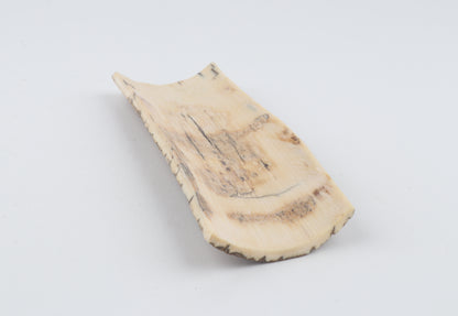 Beige mammoth bark