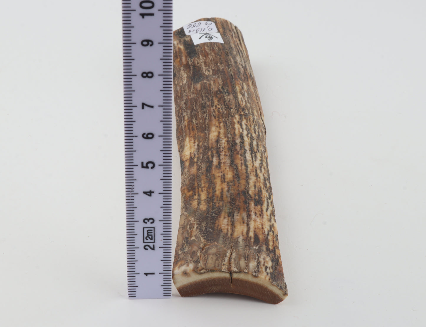 Brown-orange mammoth bark
