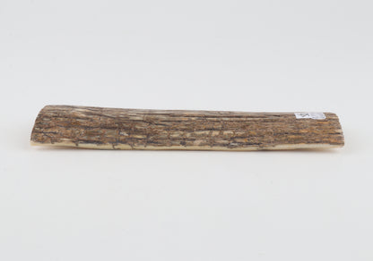 Beige mammoth bark