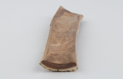 Brown-orange mammoth bark
