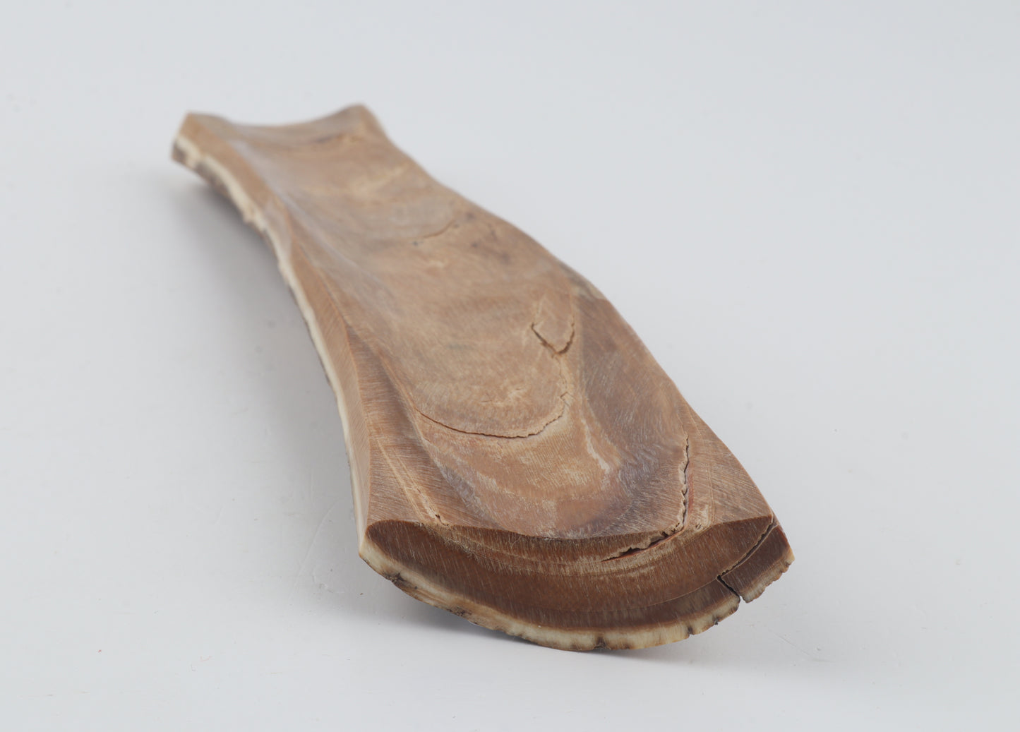 Brown-orange mammoth bark