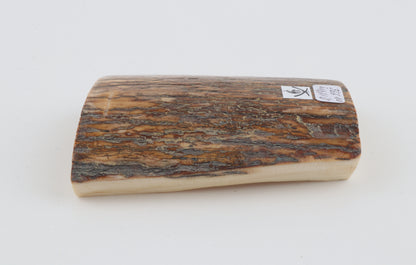 Orange-brown mammoth bark