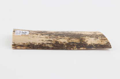 Natural fossil mammoth bark