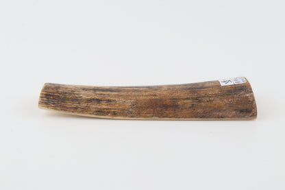 Beige-black mammoth bark