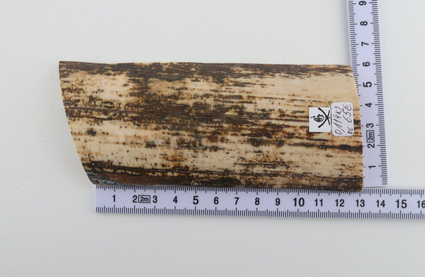 Natural fossil mammoth bark