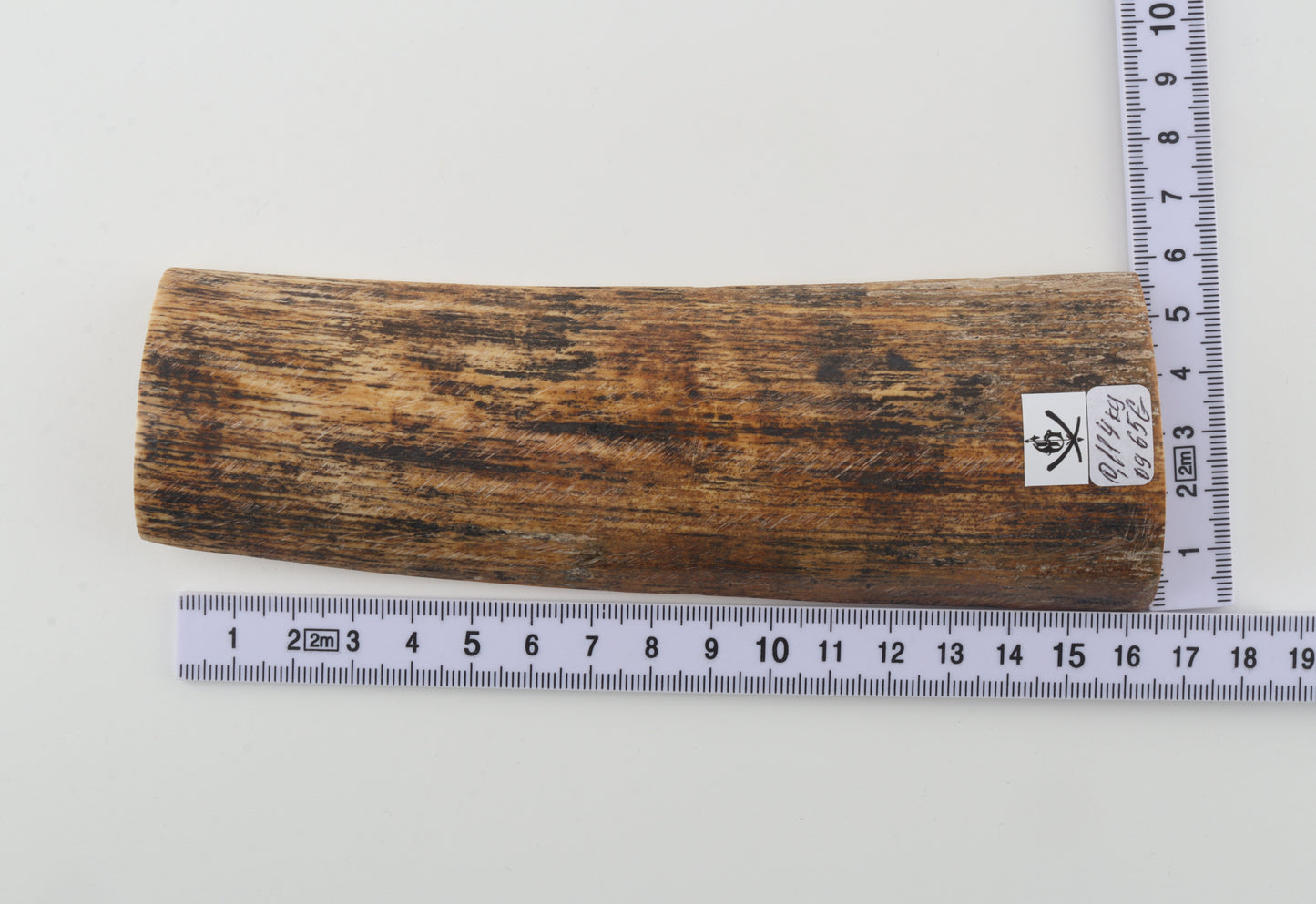 Beige-black mammoth bark