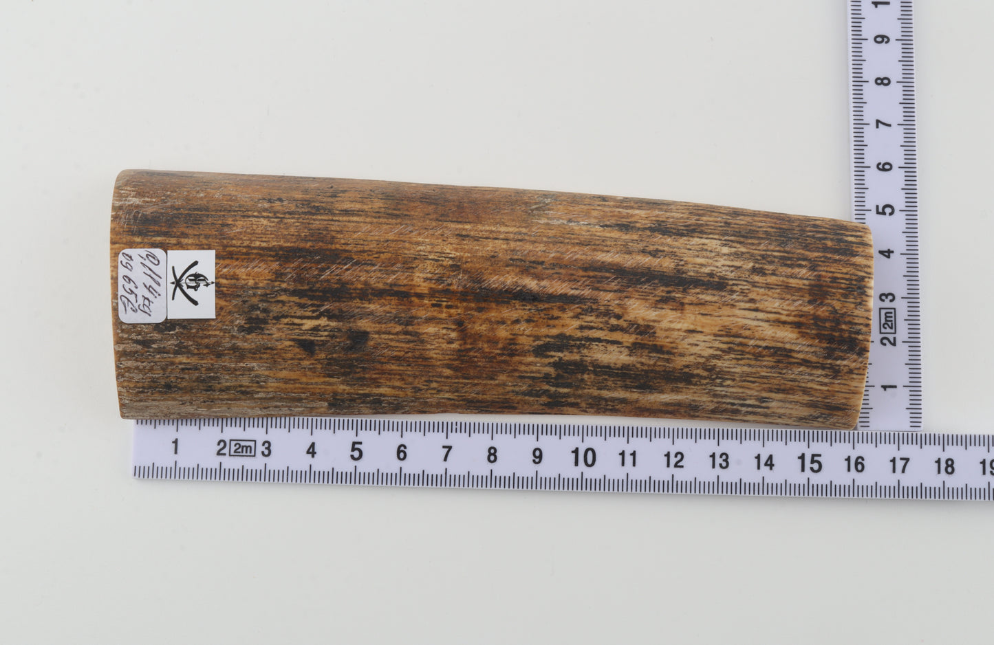 Beige-black mammoth bark