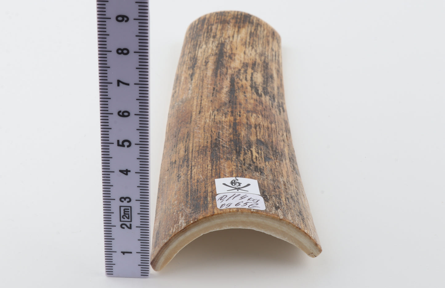 Beige-black mammoth bark