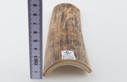 Beige-black mammoth bark